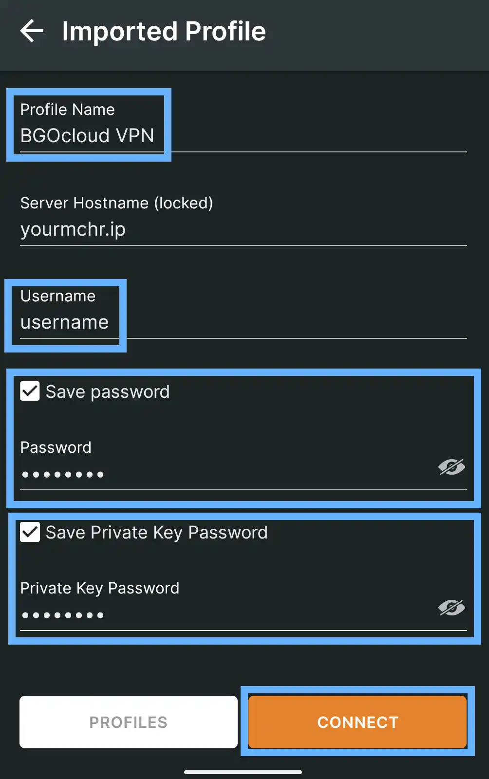 OpenVPN Connect iOS Imported Profile screen with Profile Name BGOCloud VPN, Server Hostname yourmchr.ip, Username field, Save password and Save Private Key Password checkboxes both ticked with passwords filled in, and the CONNECT button