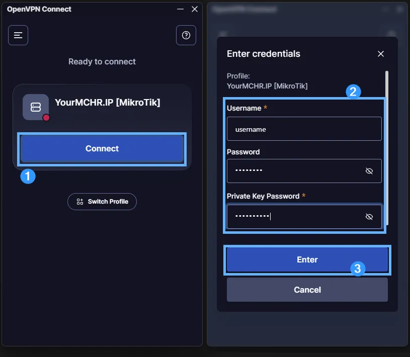 OpenVPN Connect on Windows showing the Connect button and the Enter credentials dialog with Username, Password and Private Key Password fields