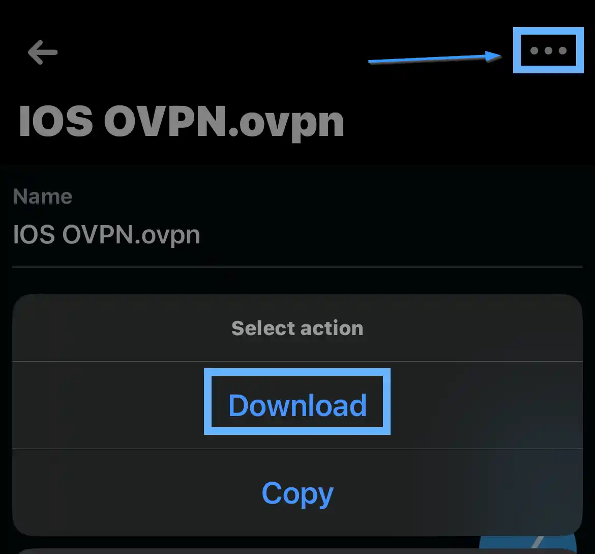 MikroTik WinBox for iOS showing the IOS OVPN.ovpn file detail screen with the three-dot menu highlighted and a Select action sheet offering Download and Copy options