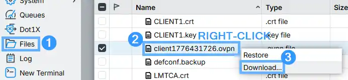 MikroTik WinBox Files window showing the exported .ovpn config file with the right-click Download option highlighted