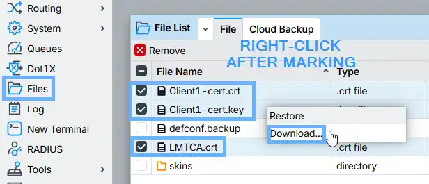 MikroTik WinBox Files window showing exported certificate files — CA cert, server cert and client cert listed and ready to download